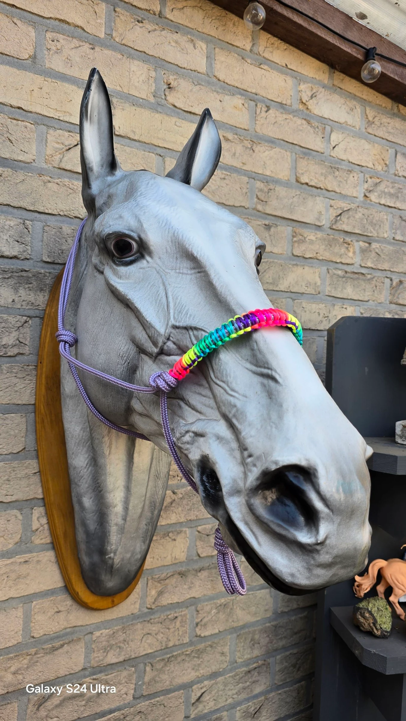 Licol en corde avec muserolle nouée aux couleurs arc-en-ciel – photo 4